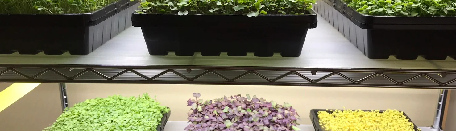 マイクログリーン事業部